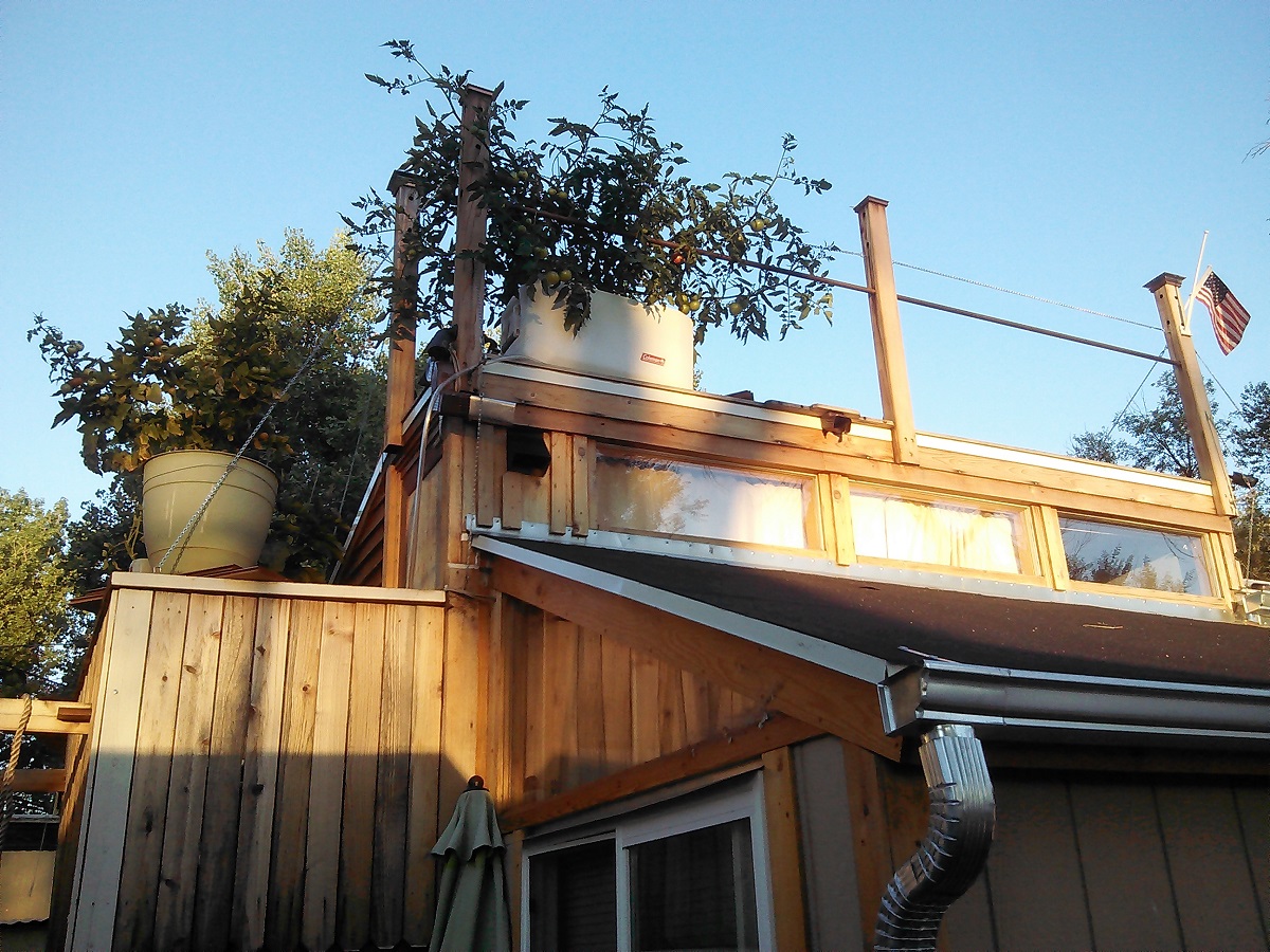 CarvedCanoe: Tiny Home #3- Denver Colorado